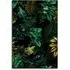 Tropical Garden VIII Botanical Art Print - Dark