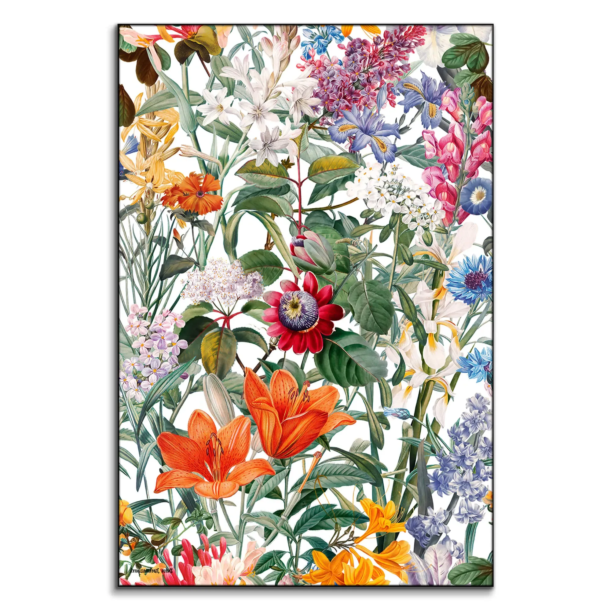 Vintage Garden IX Art Print - Colorful image