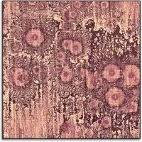 Jared Hankins Pink Pattern Wall Art - Pink