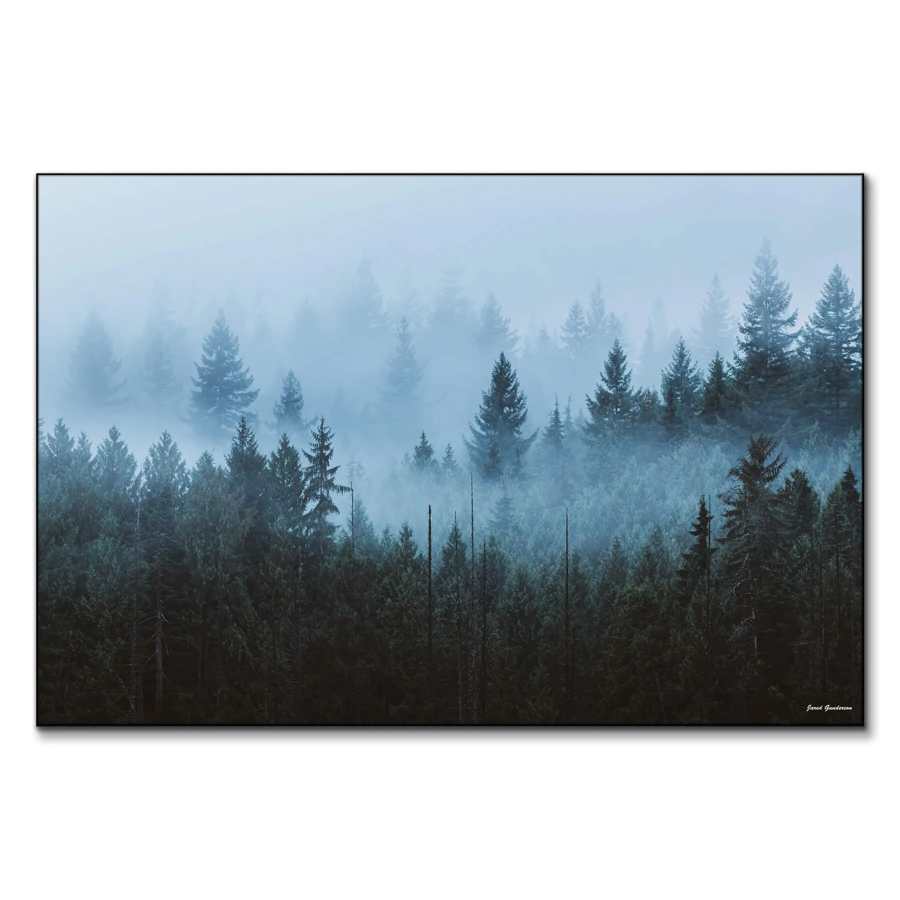 Enchanted Forest Wall Art - Cool image