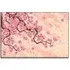 Sakura Spring Wall Art - Pink