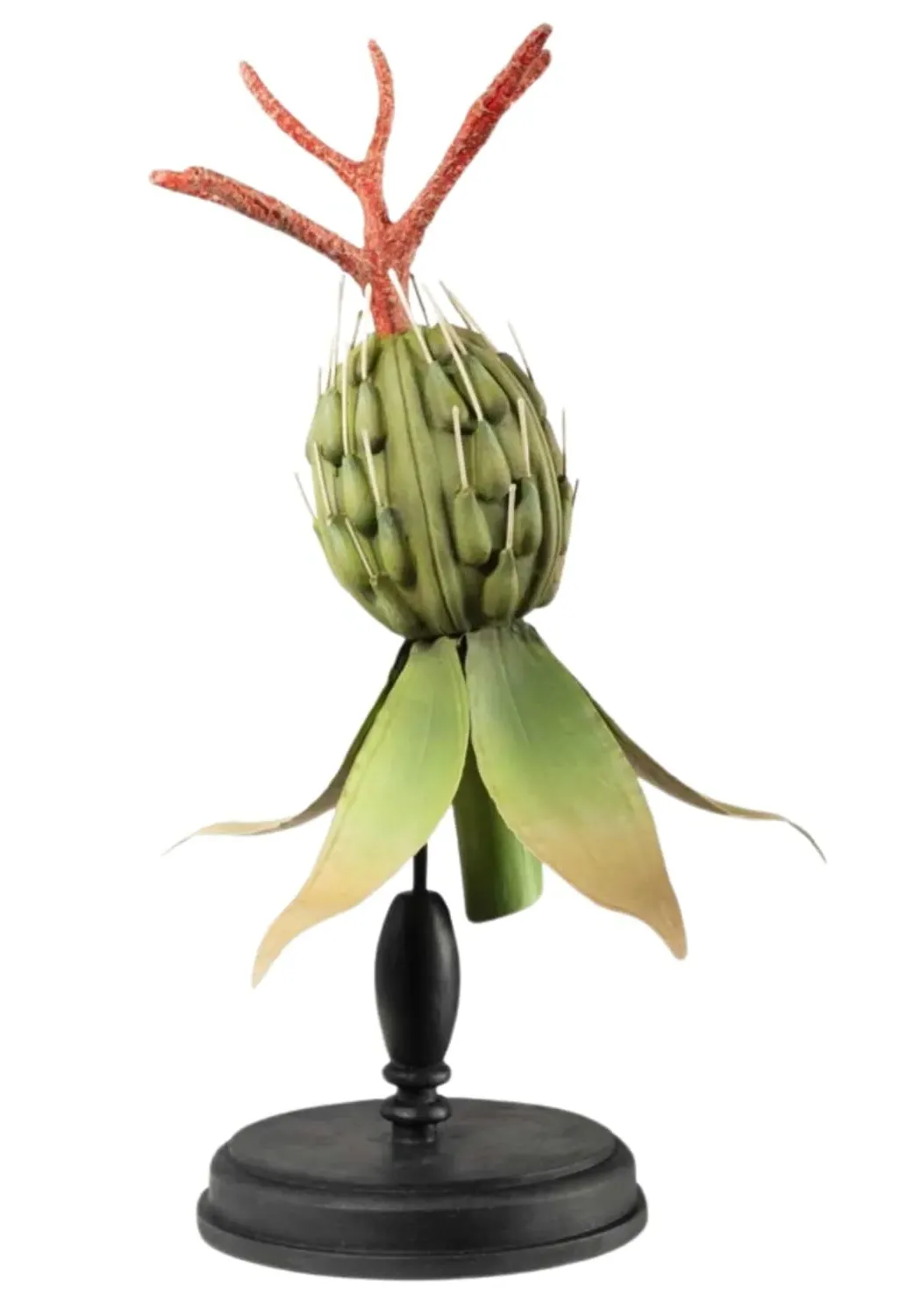 Dahlia Exotic Seedpod Ornament - Green product