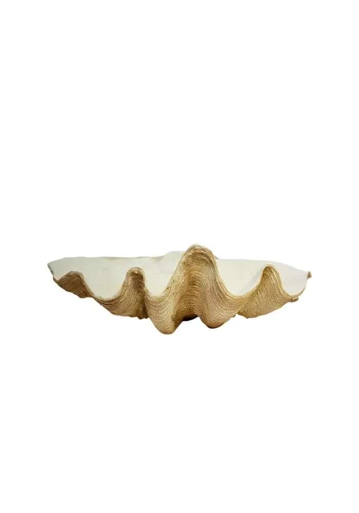 Shell Centerpiece Decor - Resin image
