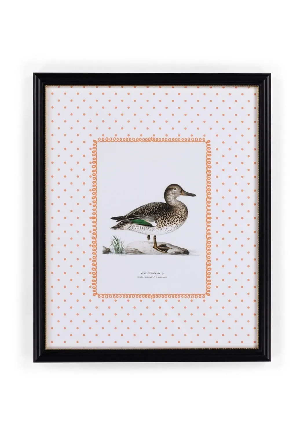 Duck II Framed Print - Black Frame image
