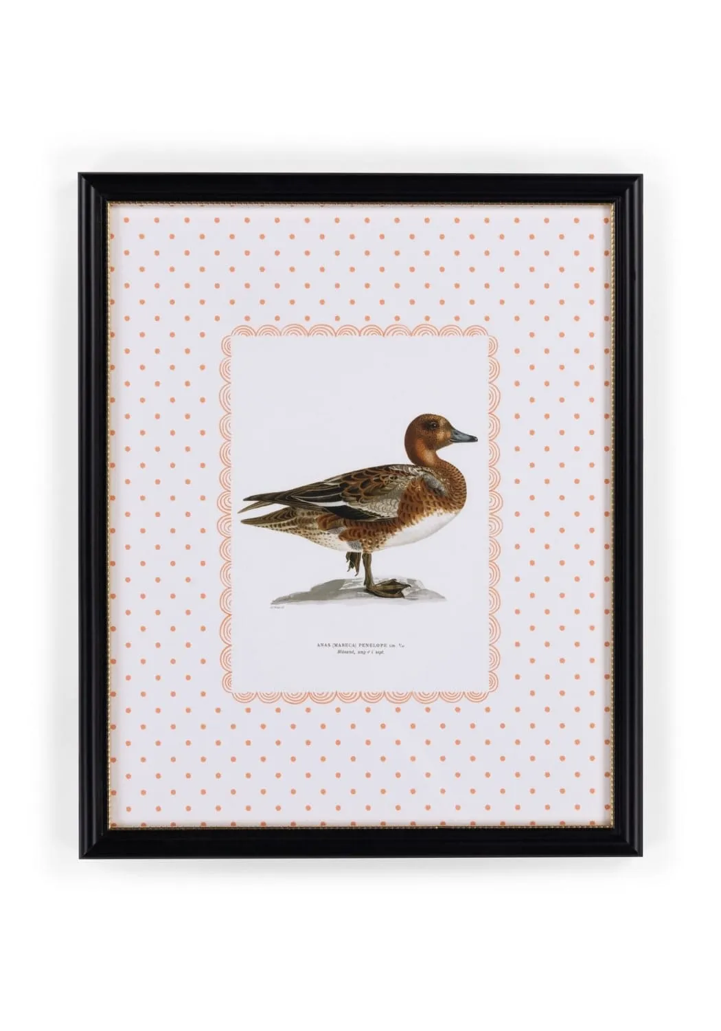 Duck Portrait Framed Print - Wood Frame image