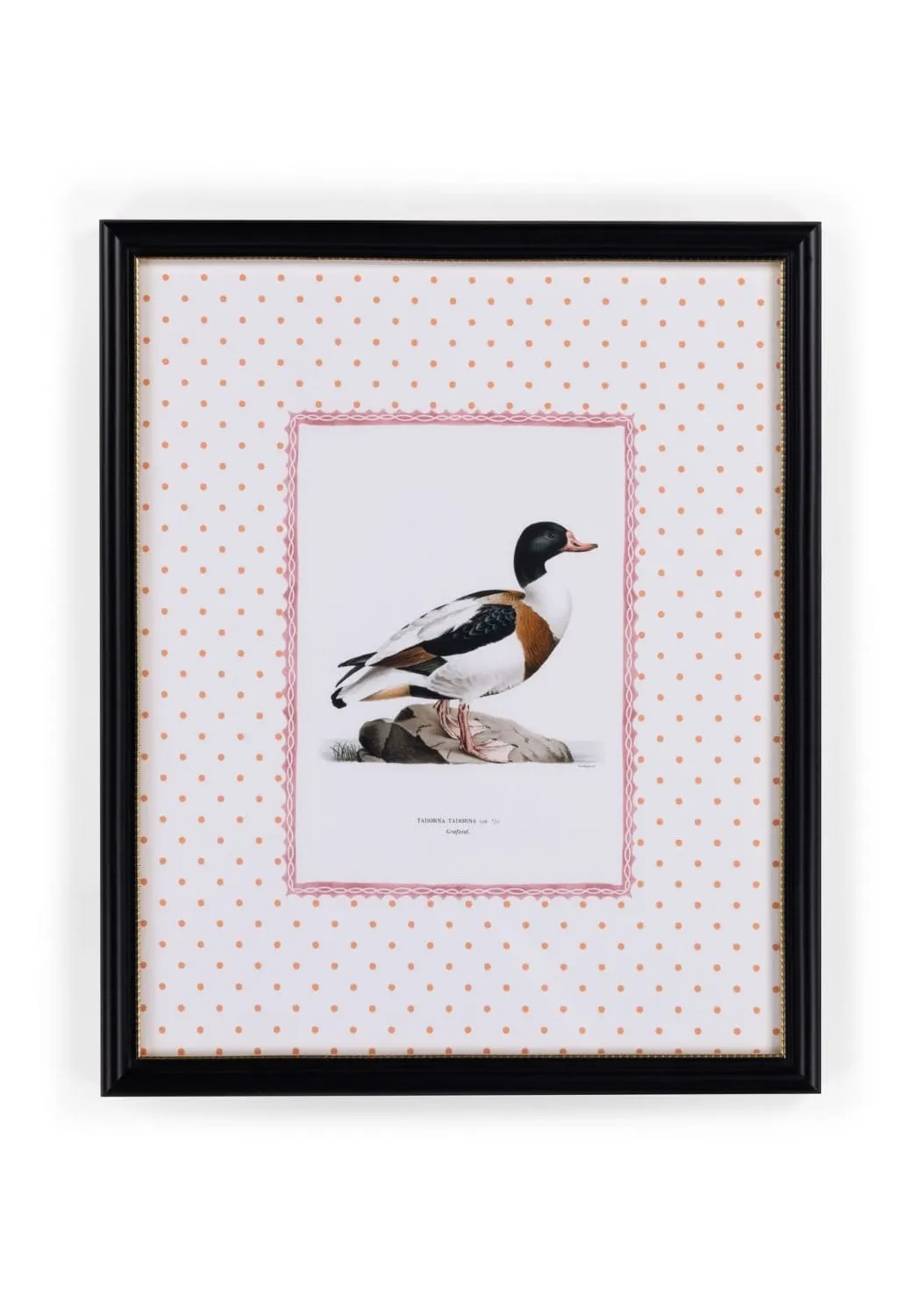 Duck Portrait Framed Print - Wood, Gold Accent