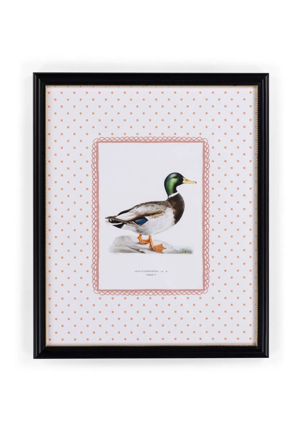 Feather and Grace Duck Print III - Black, Gold product