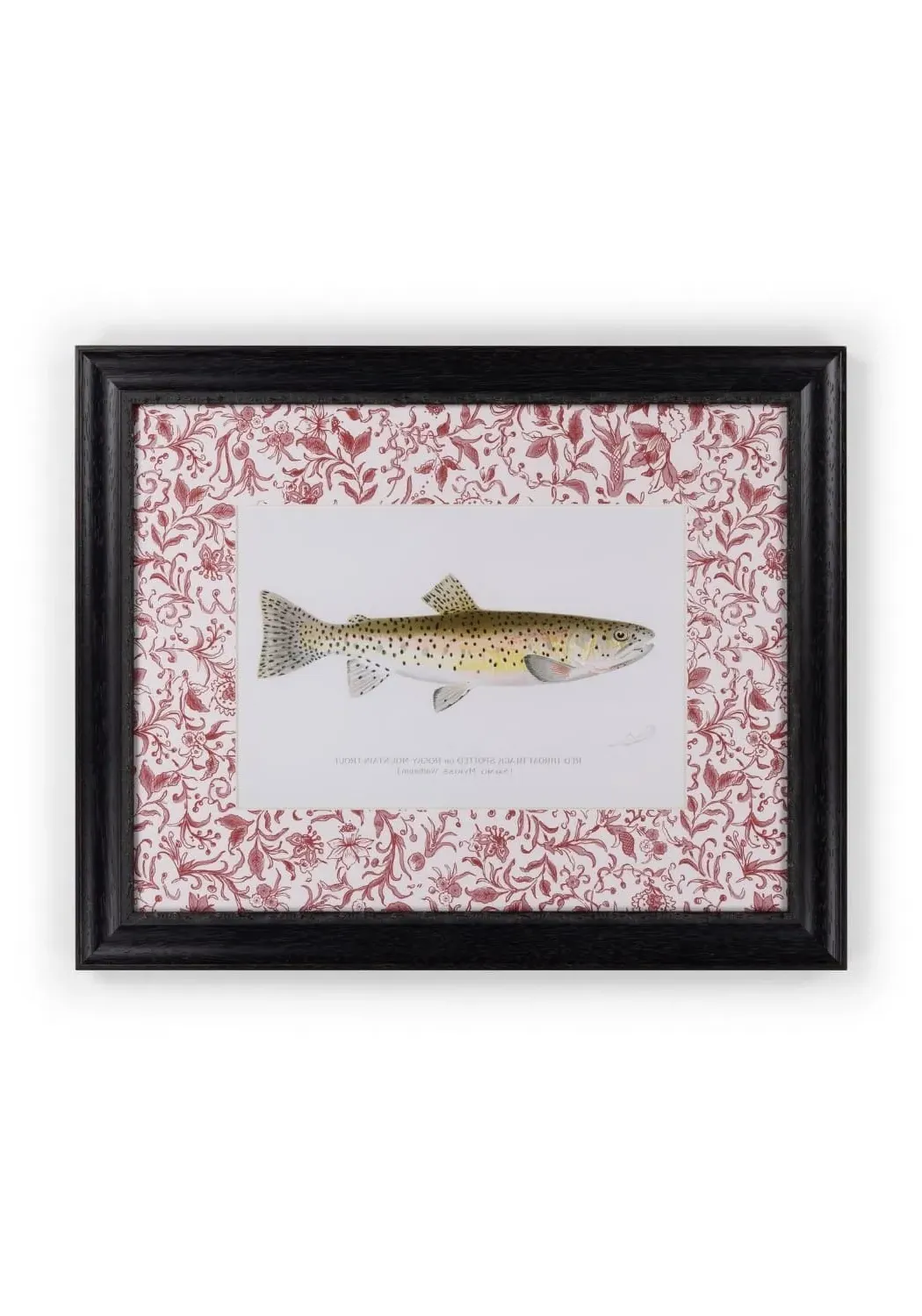 Fish II Framed Print - Wood Frame image