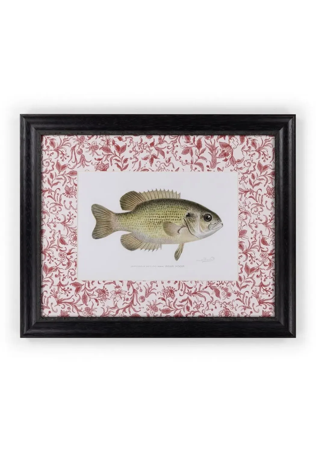 Fish IV Framed Print - Wood Frame