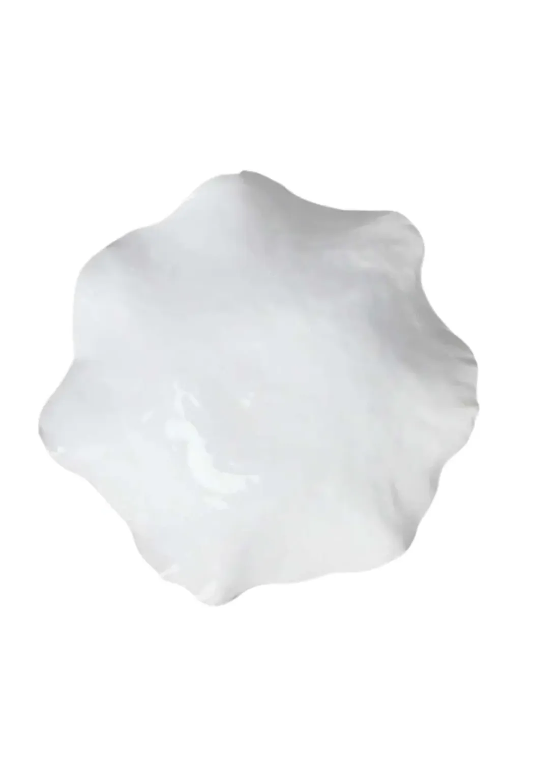 Medium Oyster Plate - White, Ceramic image