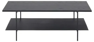 Angus Coffee Table with Storage - Black, Melamine image