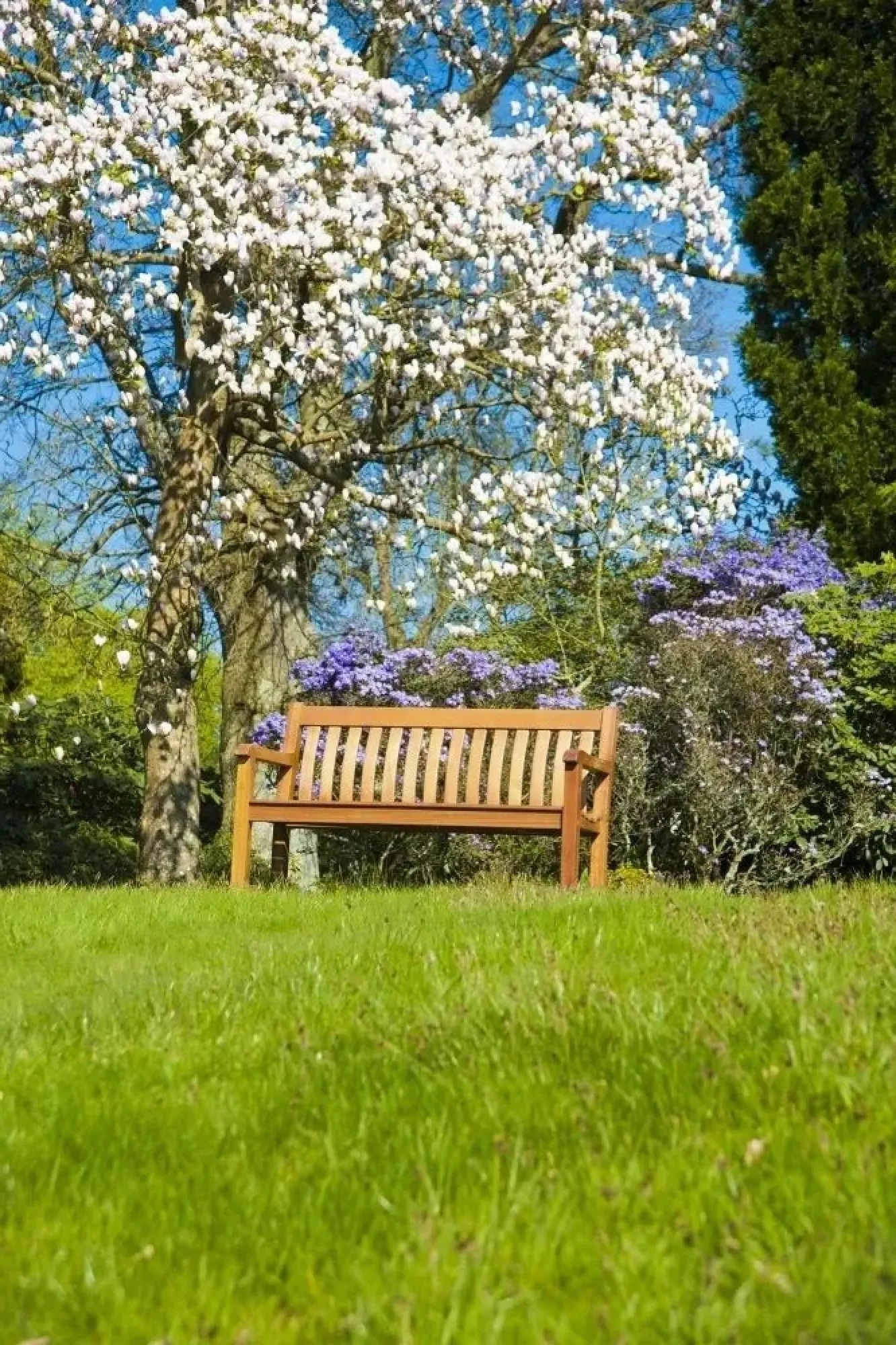 Cornis St George 4ft Garden Bench - Oiled