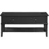 Franklin 2 Drawer Coffee Table - Black