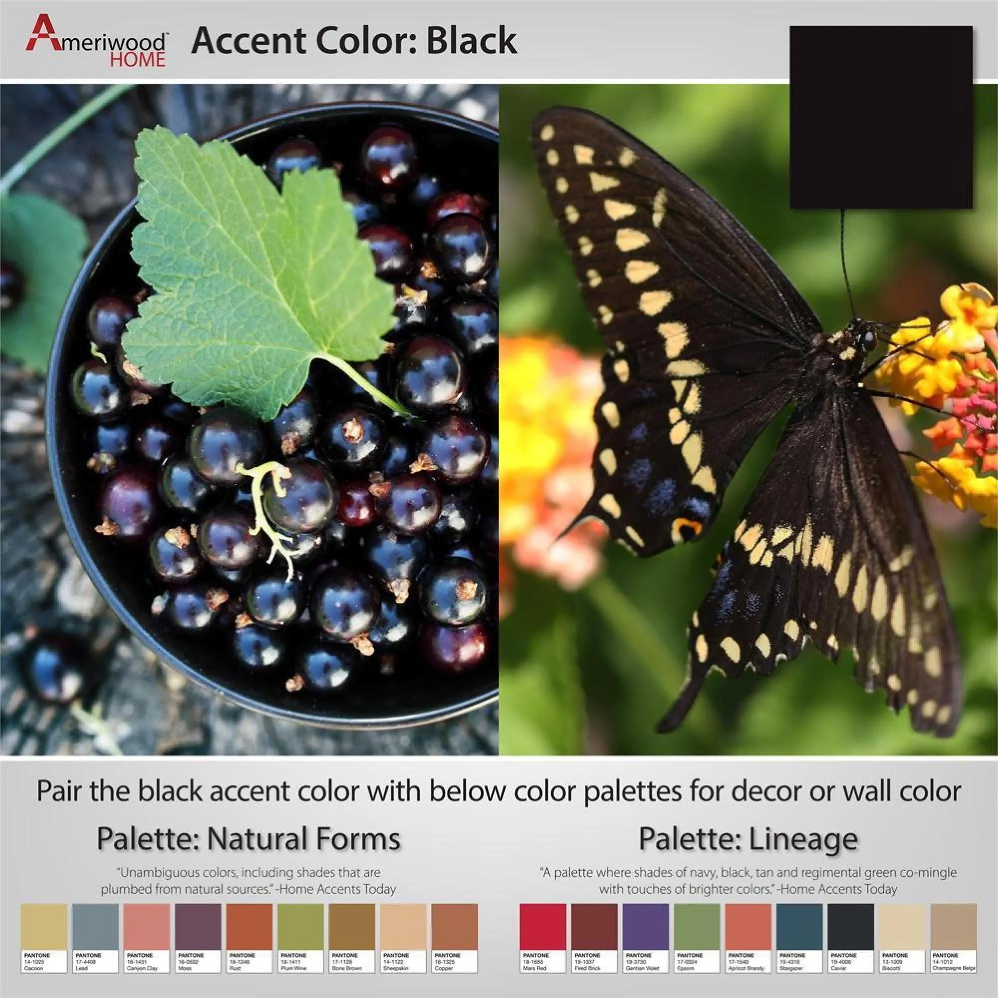 Obion TV Stand with Hairpin Legs - Black Oak