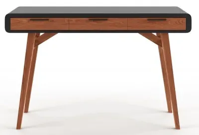Pender Study Desk - Black, Oak image