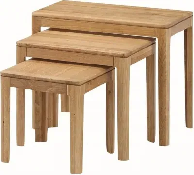 Dunmore Nest of 3 Tables - Oak image