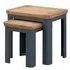 Treviso Nest of 2 Tables - Blue, Oak