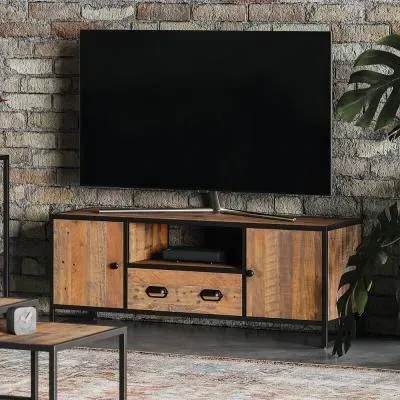 Olmsted 2 Door TV Unit - Natural, Reclaimed Wood