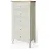 Alwin 5 Drawer Tall Chest - Grey