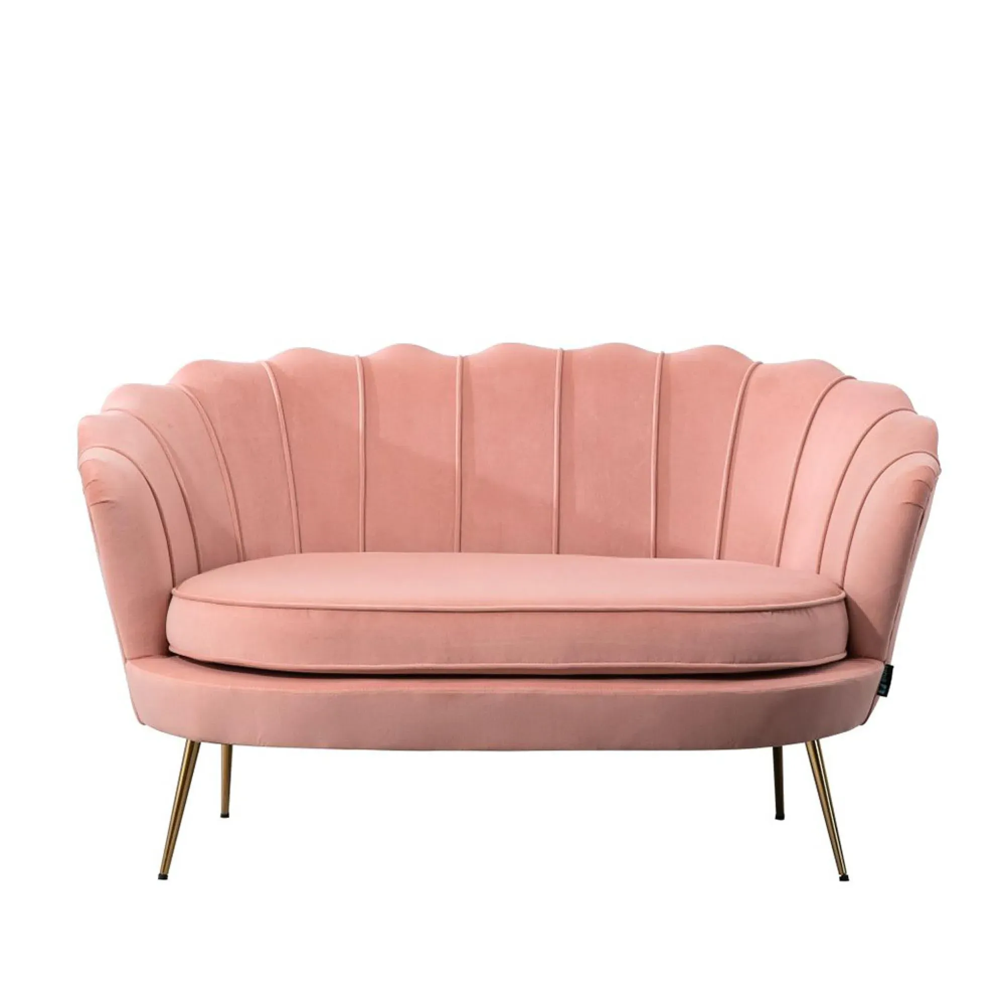 Ariel 2-Seater Sofa with Gold Legs - Coral, Velvet