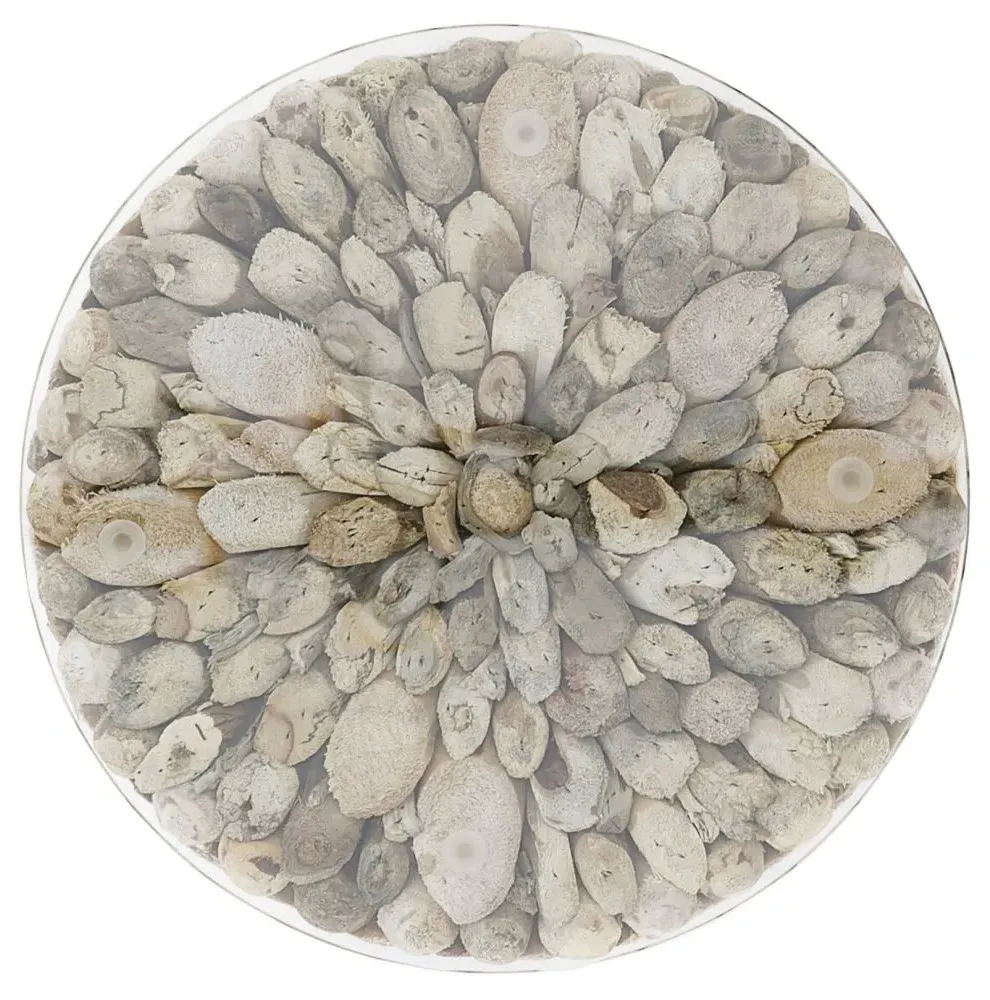 Trunk Tall Round Lamp Table - Weathered, Glass