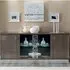 Modum Platinum Glass Door Buffet Sideboard - Silver Birch