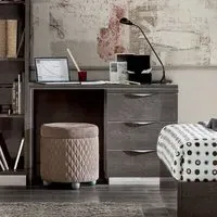 Modum Platinum Pedestal Writing Desk - Silver Birch