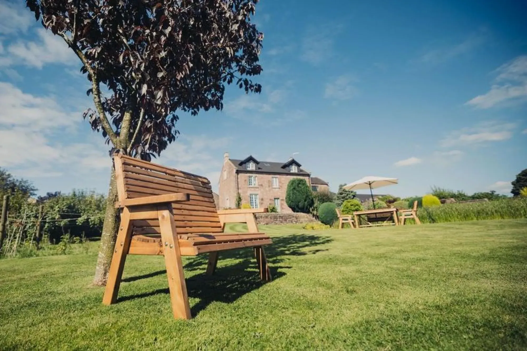 2-Seater Garden Bench - Brown, Redwood