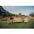 Redwood 5-Seater Garden Set with Bench - Brown