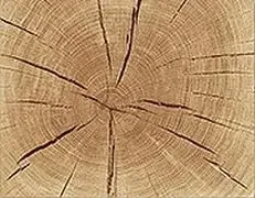 Modena Oak Large 3 Door TV Unit - Painted