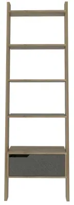 Morton Ladder Bookcase - Grey, Pine image