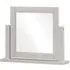 Wilmont Rectangular Dressing Mirror - Moon Grey