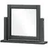 Wilmont Rectangular Dressing Mirror - Raven Black