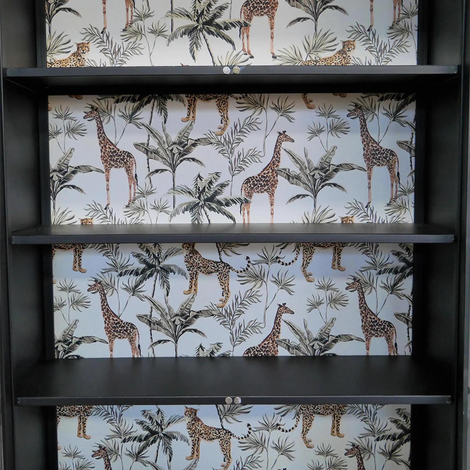 2 Door Display Cabinet - Black, Metal and Glass