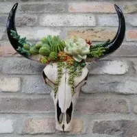 Bull Skull Wall Decoration - Set of 2