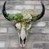 Bull Skull Wall Decoration - Set of 2