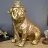 Bulldog Statue with Hat and Tie - Gold