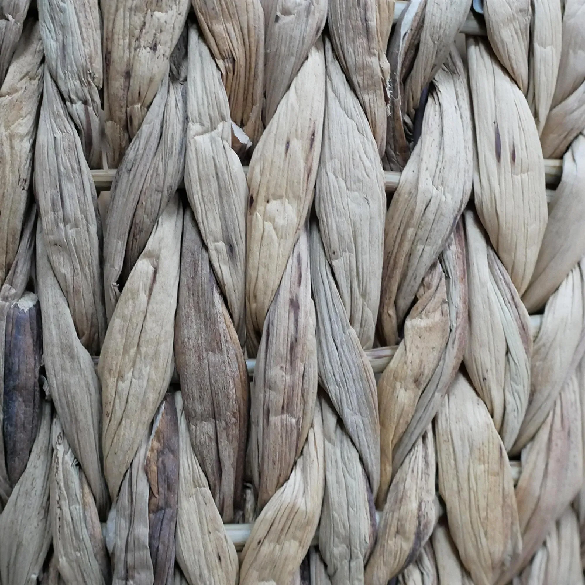 Hyacinths Basket Planters - Set of 2