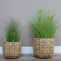 Hyacinths Basket Planters - Set of 2