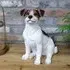 Jack Russell Sitting Dog Ornament Set of 2 - Resin