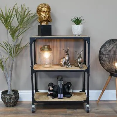 Mango Wood and Metal Shelves on Wheels