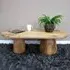 Oval Coffee Table - Mango Wood