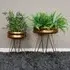 Round Planters with Hairpin Legs - Set of 2, Gold