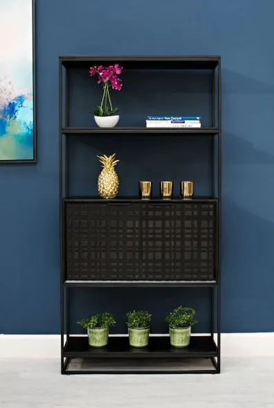 Fusion 2 Door Bookcase - Black, Mango Wood