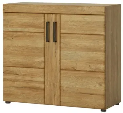 Cortina 2 Door Cabinet - Grandson Oak image