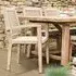 Chilford Outdoor Carver Dining Chairs Set of 2 - Natural, Solid Wood