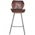 Caiziwan Bar Stool with Back - Brown, Leather