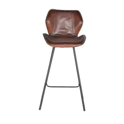 Caiziwan Bar Stool with Back - Brown, Leather