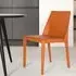 Jessica Dining Chair Set of 2 - Orange, Leather