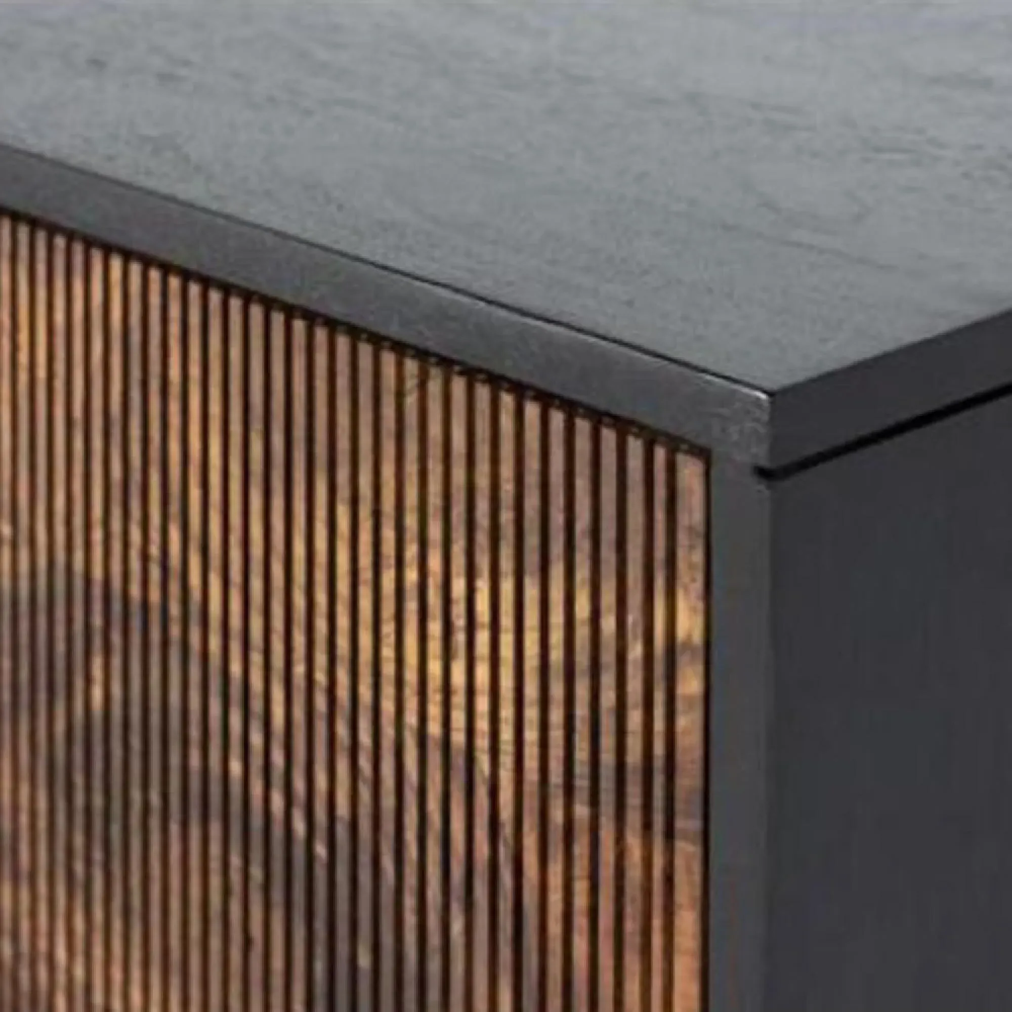 Venedocia Small 2 Door Hall Cabinet - Mango Wood